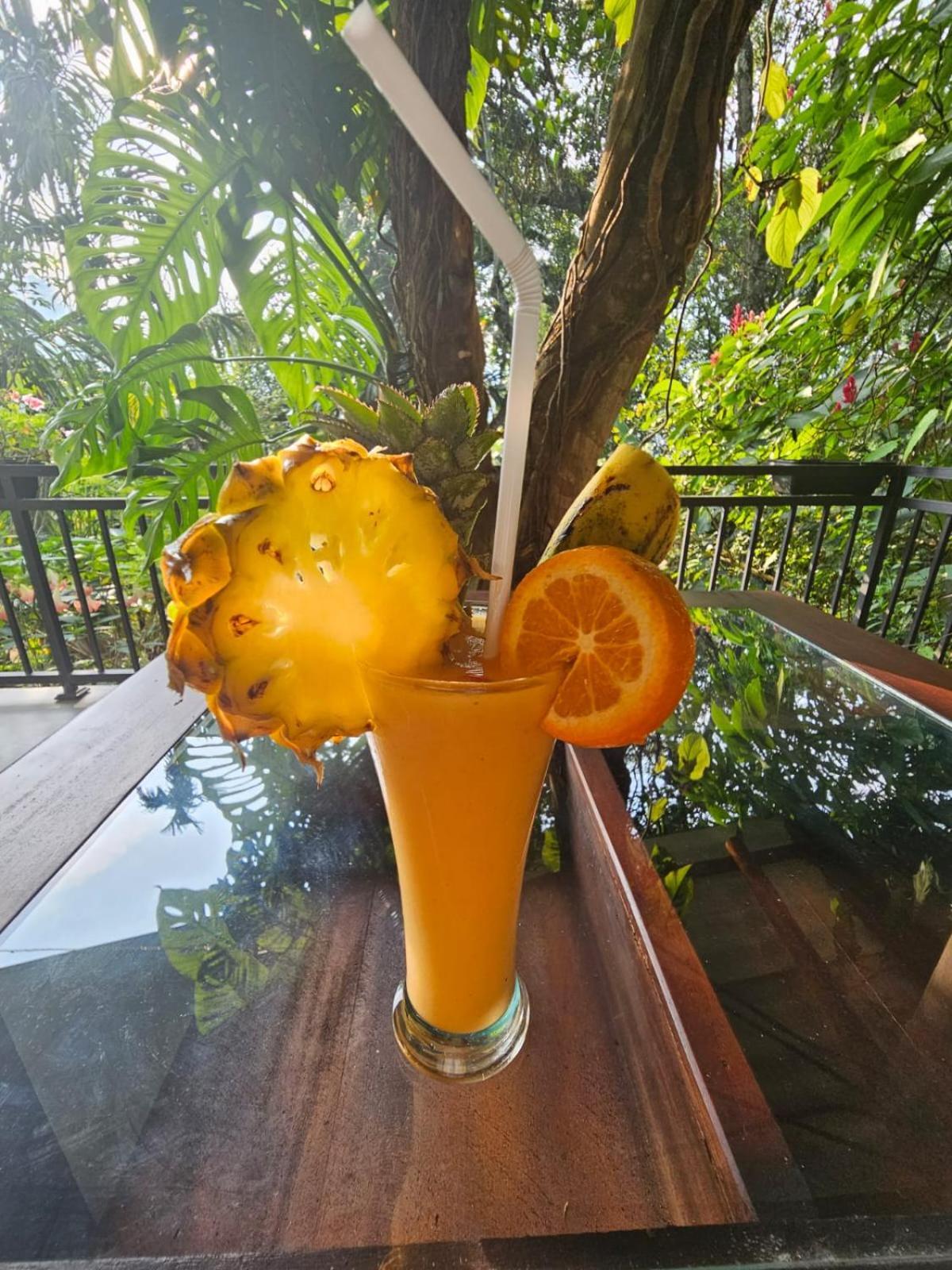 Ella Secret Paradise Cameră foto